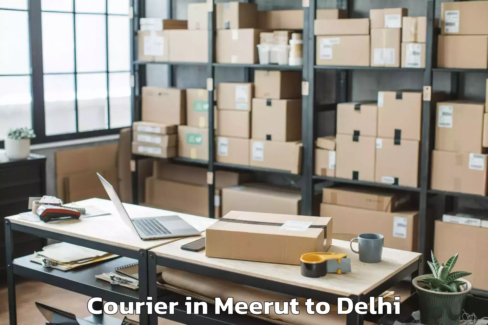 Discover Meerut to Palam Courier